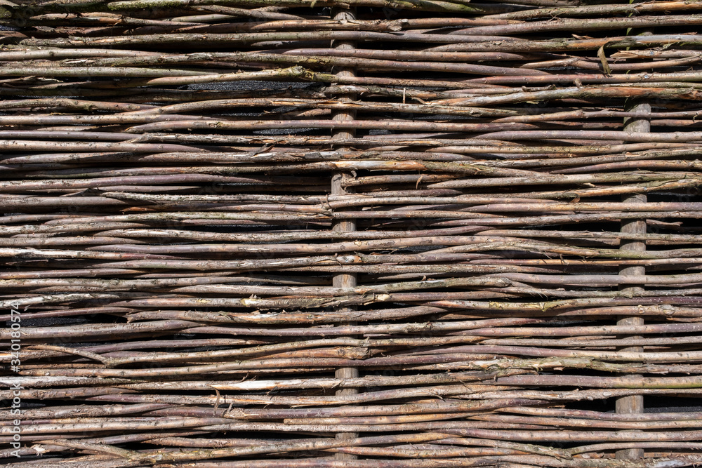 background of beautiful green and red braided branches close up background of beautiful green and red braided branches close up