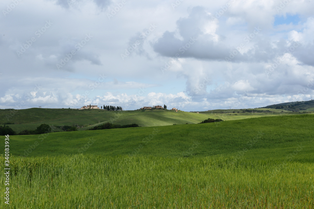 Spring in the fields of Tuscany. 