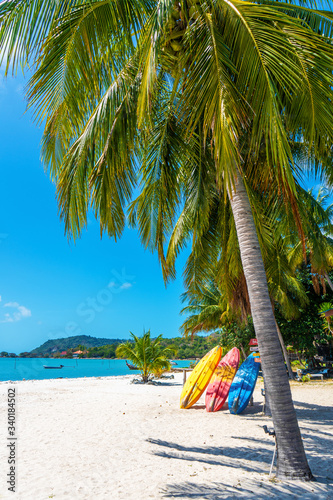 Multi-colored kayaks on a tropical sandy beach. Kayak rental. Tourist entertainment