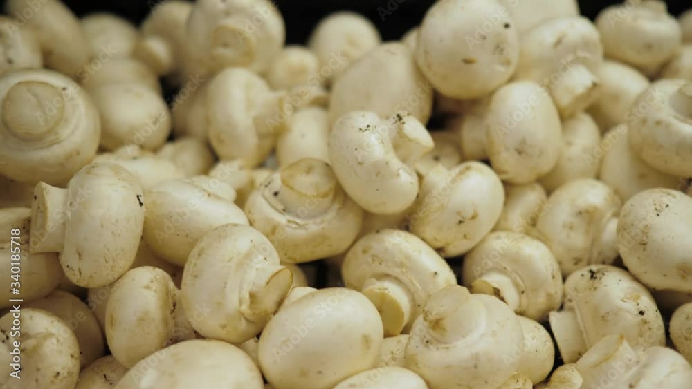 Beautiful mushrooms in the store. EKO products. Beautiful mushrooms in the store. EKO products.