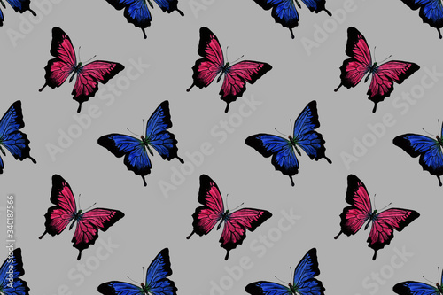 seamless pattern of blue and pink butterflies drawn in watercolor on a gray background © Elena