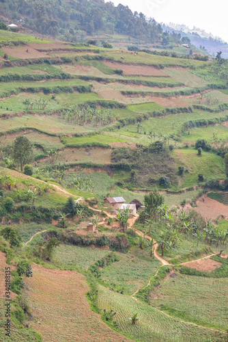 Green landscapes of hills around Lake Bunyonyi