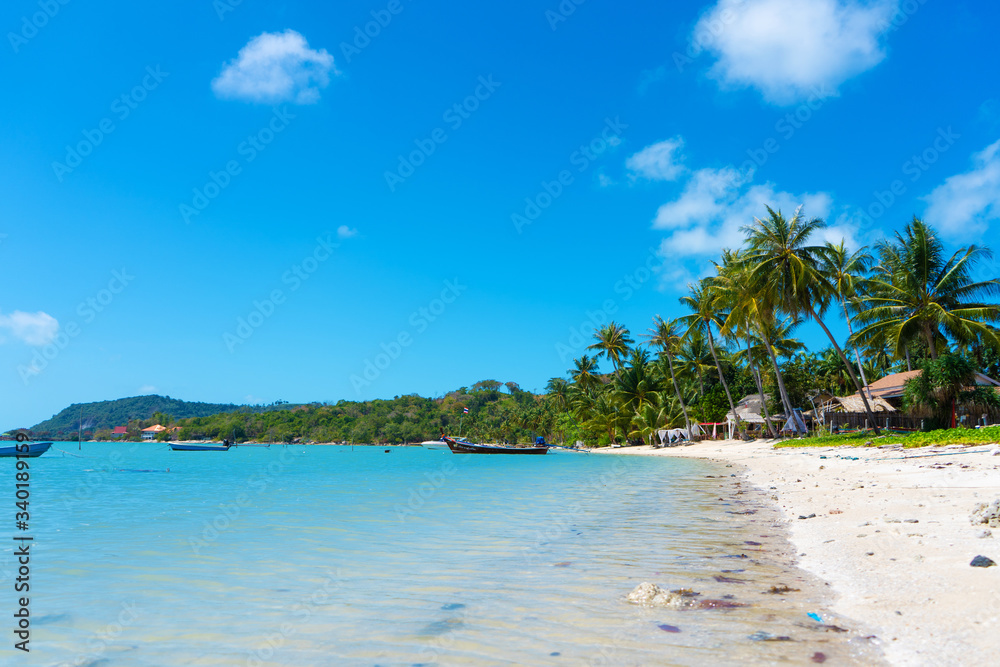 Gorgeous tropical sandy beach with palm trees, blue sky and clear water.