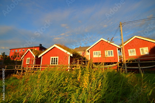 Natural landscape of lofoten island, Norway