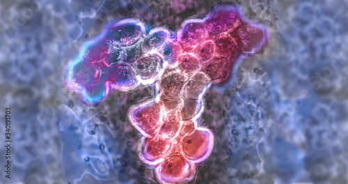 antibody SARS COV-2 immune response, immunotherapy concept with immunoglobulins, antiviral response antibody covid-19 3d rendering  photo