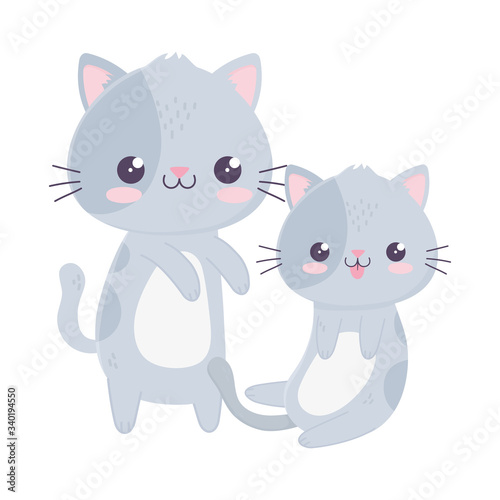 cute little cats domestic pets kawaii cartoon character