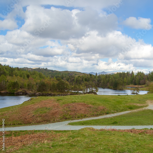 landscape with lake