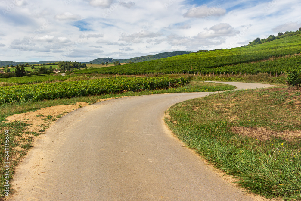 Panoramic view of vineyards of the Veaux valley in Burgundy, France