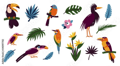 Set of birds. Bright exotic tropical birds. Macaw, Cockatoo, flamingo, toucan. Vector.