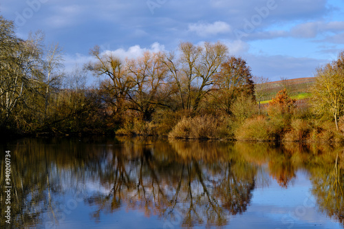 Weinort Sommerach und die Weinberge auf der Weininsel an der Vokacher Mainschleife, Landkreis Kitzingen, Unterfranken, Franken, Bayern, Deutschland