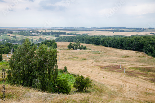 Scenic areal view on green summer woods in Pidkamin village