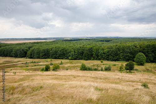 Scenic areal view on green summer woods in Pidkamin village