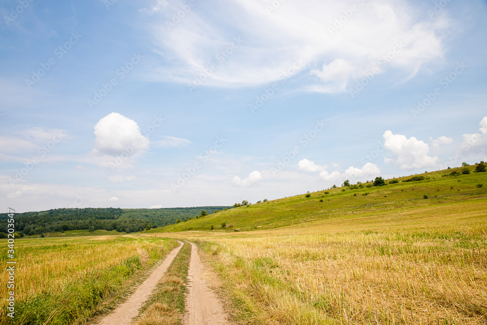 Scenic path in green summer field with blue sky background
