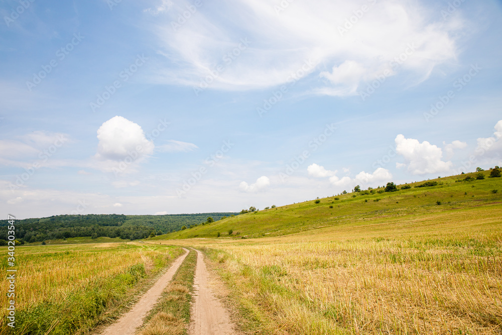 Scenic path in green summer field with blue sky background Scenic path in green summer field with blue sky background