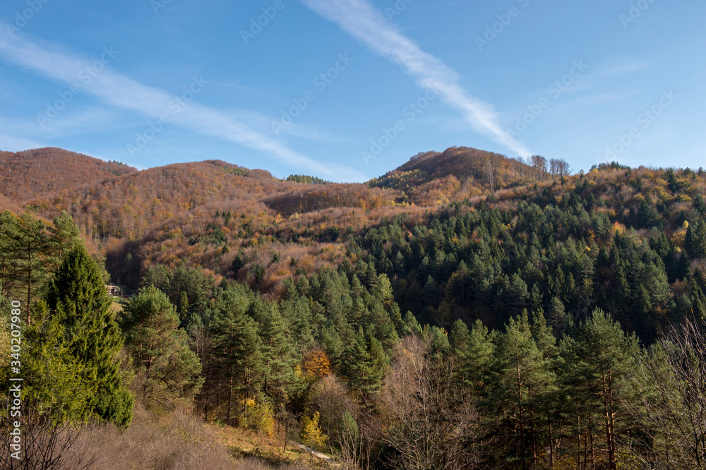 Naklejka premium Around Rytro