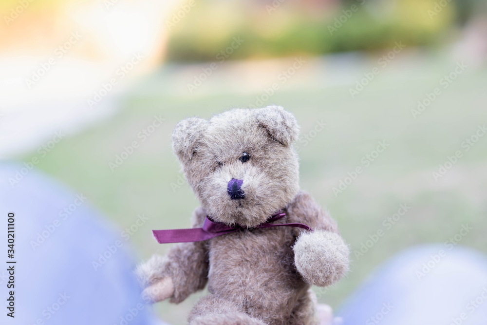 Cute teddy bear animal background