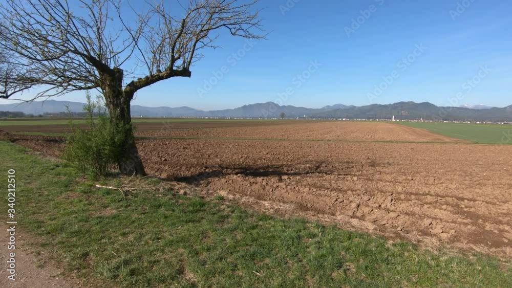 Farming meadow grass field in spring season with tress in foreground. In background small town in Slovenia and mountain range. Wide shot, dynamic left truck moving Farming meadow grass field in spring season with tress in foreground. In background small town in Slovenia and mountain range. Wide shot, dynamic left truck moving