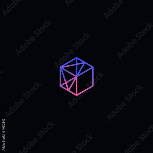 abstract hexagon logo geometric lines design