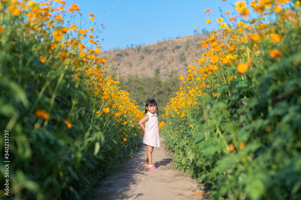 Asian cute little girl enjoying in yellow cosmos. Asian cute little girl enjoying in yellow cosmos.