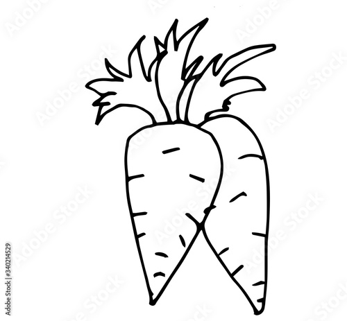 Cute fabulous carrot with outlined for coloring book isolated on a white background. Vector illustration of hand drawn black and white carrots.	
