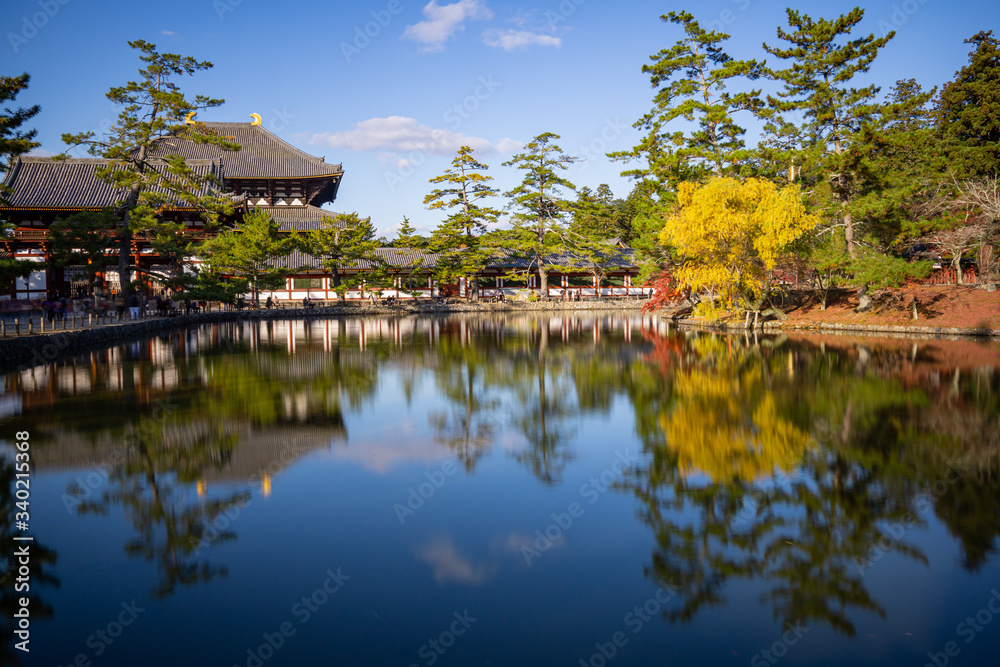 Nara Park - A Must See Scenic Spot in Nara City Established in 1880. Nara Park - A Must See Scenic Spot in Nara City Established in 1880.