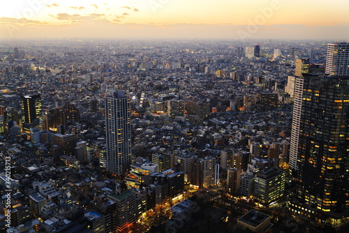 新宿から見る夕景 © pocketalbum