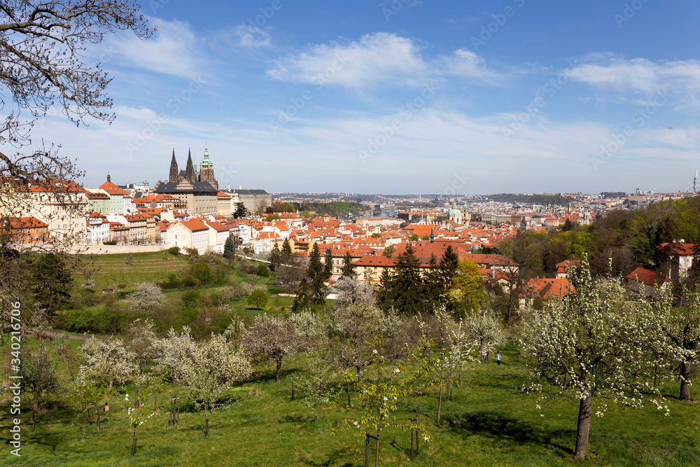 Obraz premium Spring Prague City with gothic Castle and the green Nature and flowering Trees from the Hill Petrin, Czech Republic