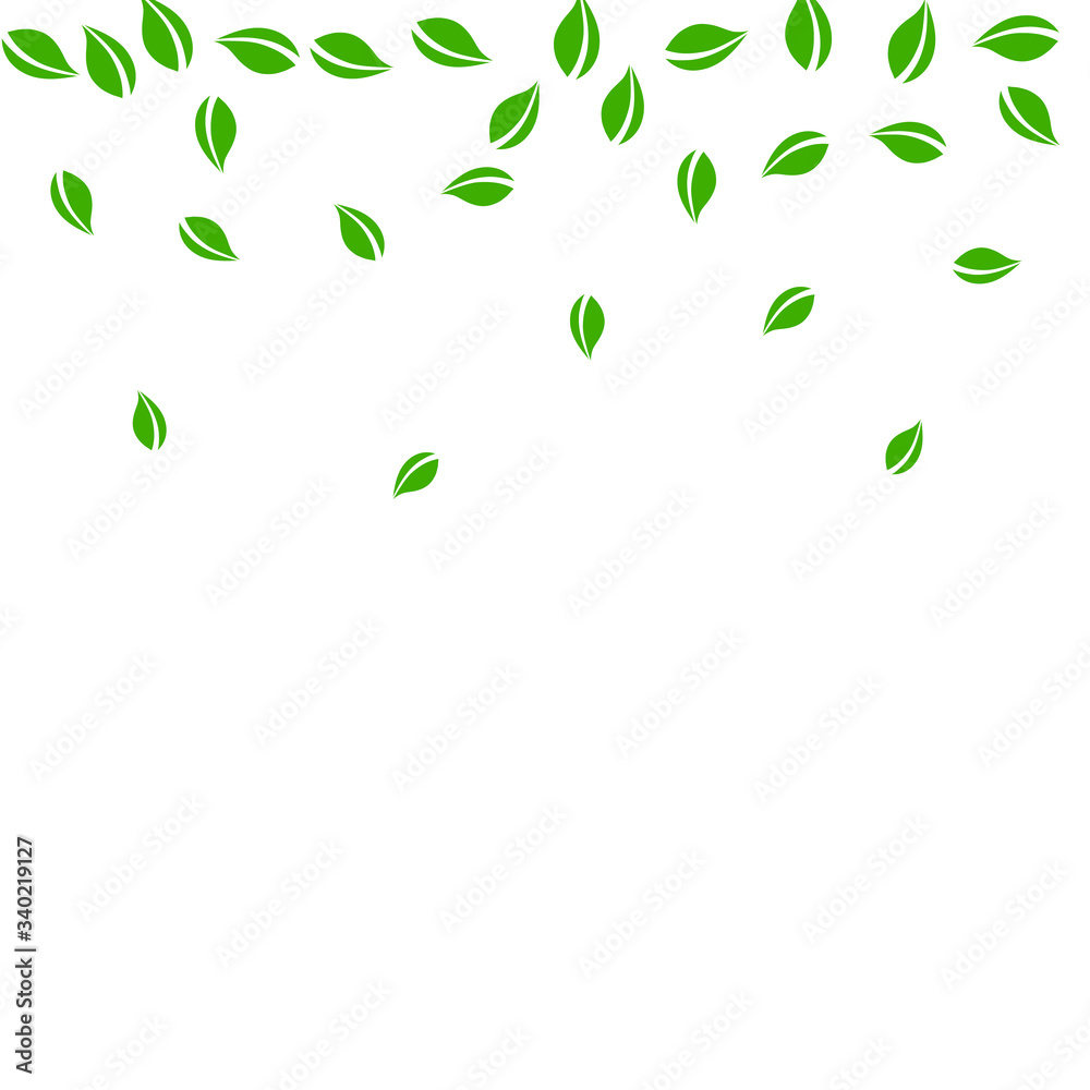 Fototapeta premium Falling green leaves. Fresh tea random leaves flyi