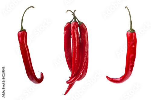 red chilli pods on a white isolated background photo