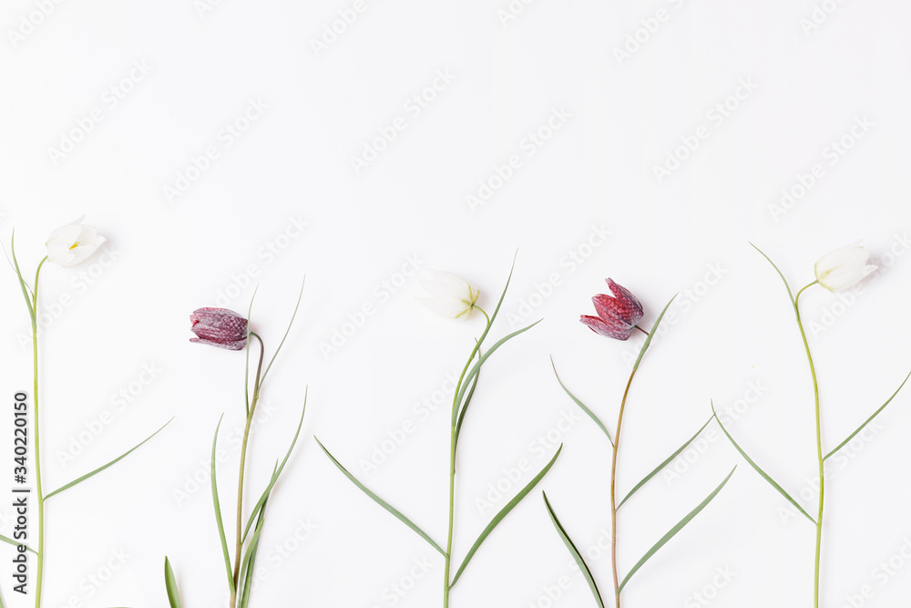 Floral pattern with wildflowers, green leaves, branches on white background. Flat lay, top view. Floral pattern with wildflowers, green leaves, branches on white background. Flat lay, top view.