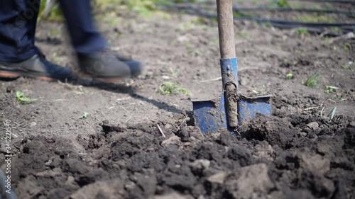 Wallpaper Mural Detail shot of shovel digging into the soil Torontodigital.ca