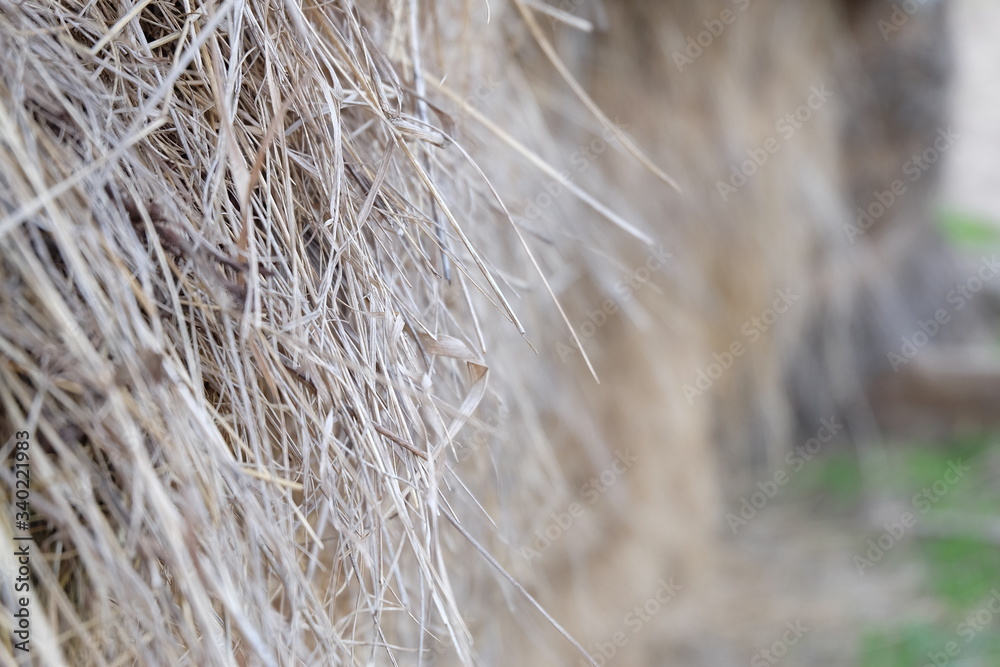 Selective focus extreme close up view of hay stack. Countryside environment. Farming concept.