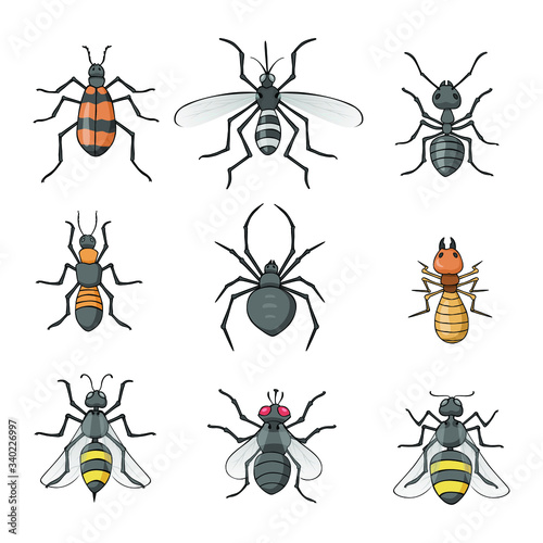 Set of insects in a drawing style vector