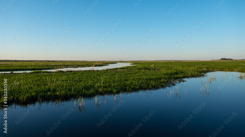 Wetland area in Biebrza National Park, by the village of Goniadz in eastern Poland. Wetland area in Biebrza National Park, by the village of Goniadz in eastern Poland.