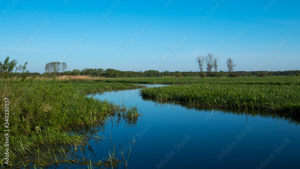 Wetland area in spring time, in Goniadz in southern Poland.