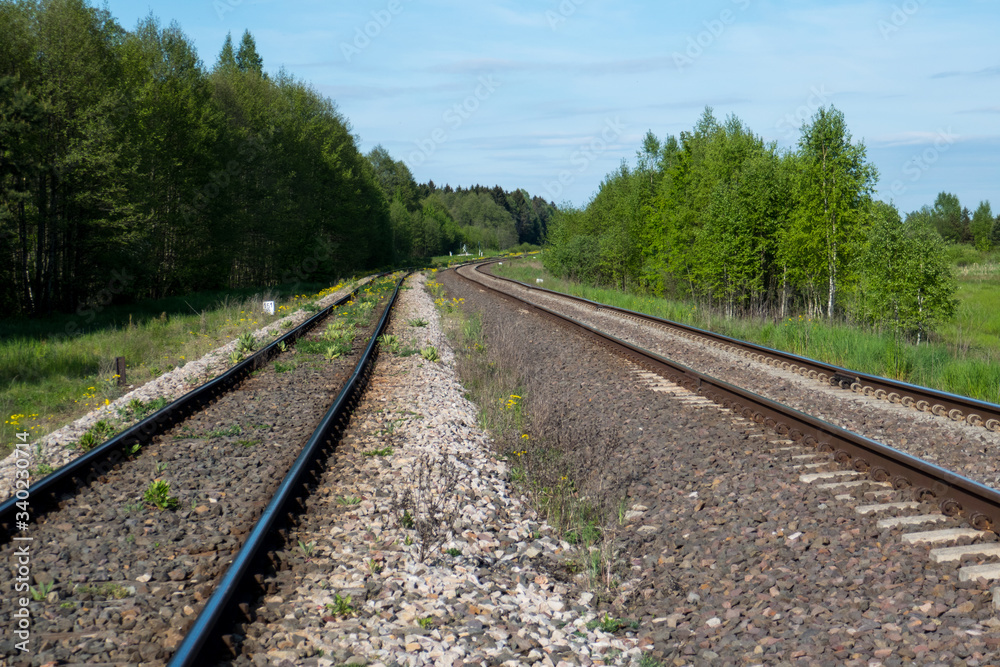 Railroad through lush deciduous forest, near the border to Belarus, in eastern Poland.