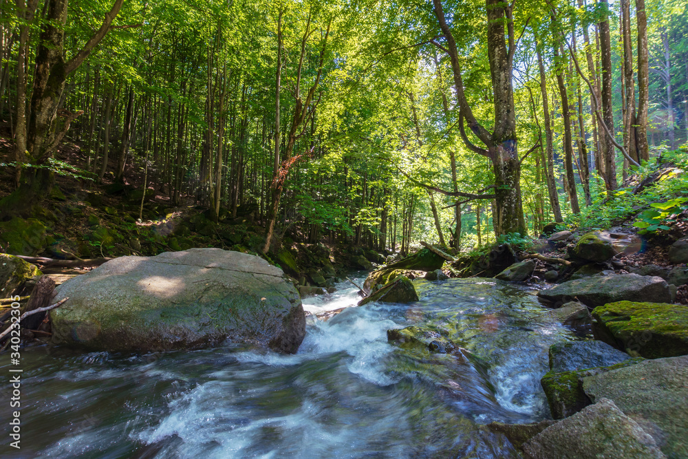 Obraz premium beautiful landscape of rapid mountain river. flow among mossy rocks in the fores in springtime. warm sunny weather. trees in green foliage