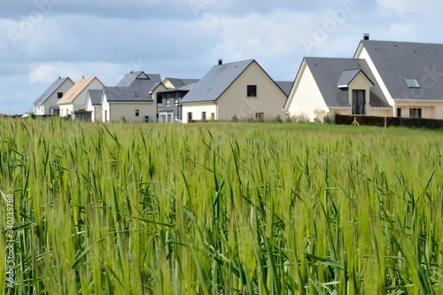 Billede på lærred Urbanisation des terres agricoles, lotissement récent en bordure de champ