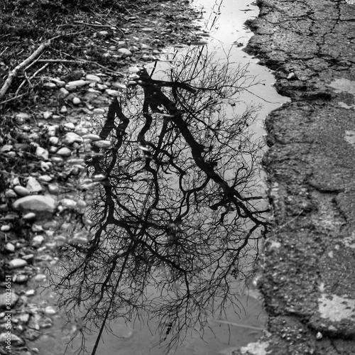 réflexion sur la nature