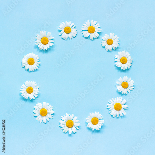 Flower composition. Frame floral round wreath of flowers chamomile on blue background. Template for your design Top view Flat Lay Copy space