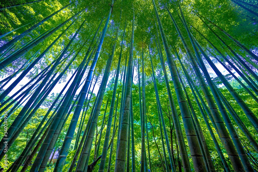 鎌倉散歩、ランチもおいしかったですよ。
