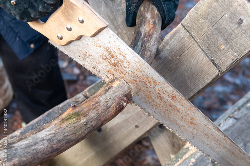 sawing firewood on sawhorses photo