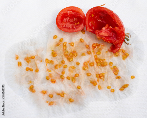 Squashed Tomato And Seeds