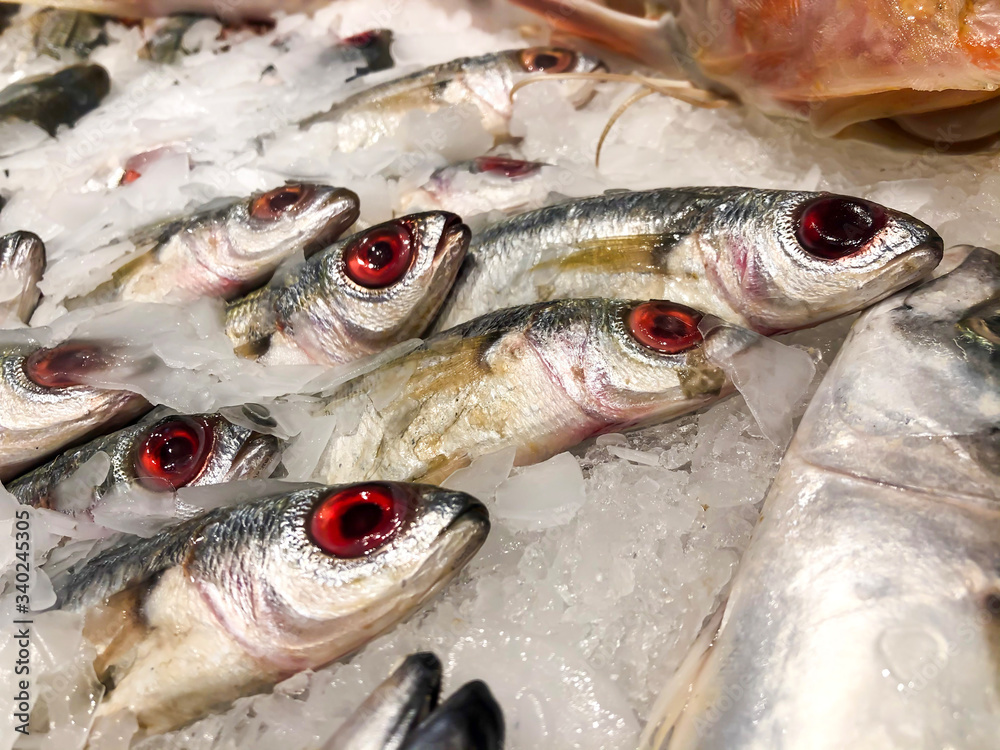 Top view of many sardines with red eyes lying on crushed ice at the
