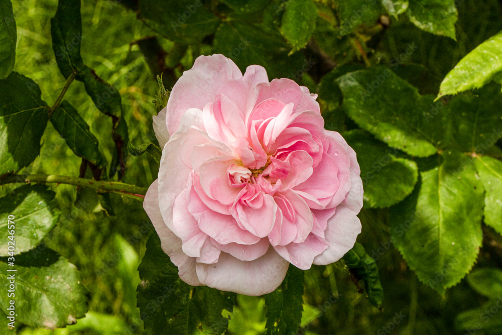 Taken in the Geffrey Museum Gardens in East London Taken in the Geffrey Museum Gardens in East London