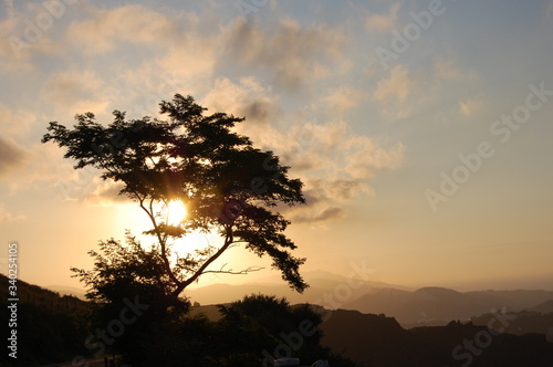 Montaña en el País Vasco durante el atardecer, la puesta de sol de cuela  a través de las ramas de un árbol solitario photo