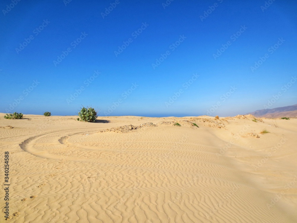 Naklejka premium Beautiful Sand dunes near Ocean in Salalah, Oman