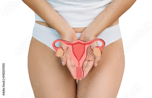 Gynecology, female intimate health. Woman holding model of vagina and ovaries. Treatment uterus, female fertility photo