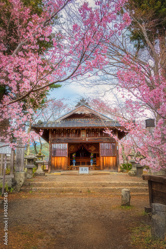 One of shrine at Takato Castle Ruins, Nagono Prefecture with Pink cherry blossoms in Japan. Popular sights for tourist for flower sightseeing. 