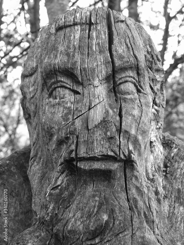 Woodface